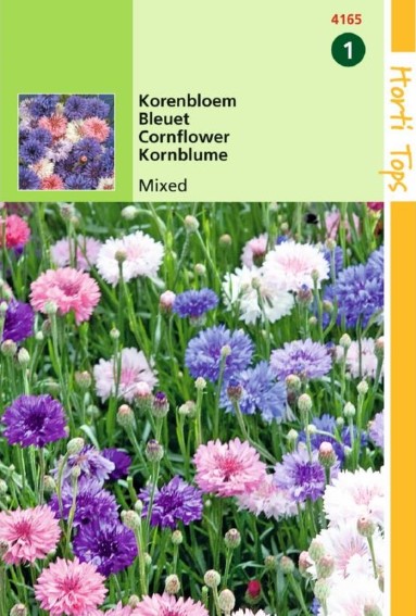 Cornflower Double Mix (Centaurea) 300 seeds HT